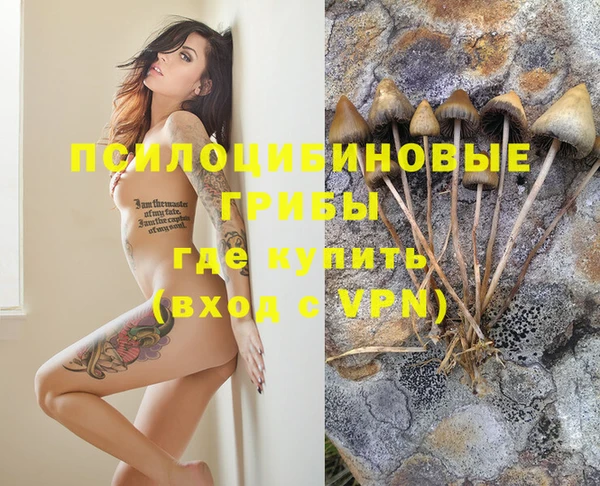 а пвп мука Вязьма